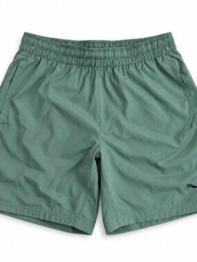 Puma Drycell Soccer‎ Shorts Men Medium
